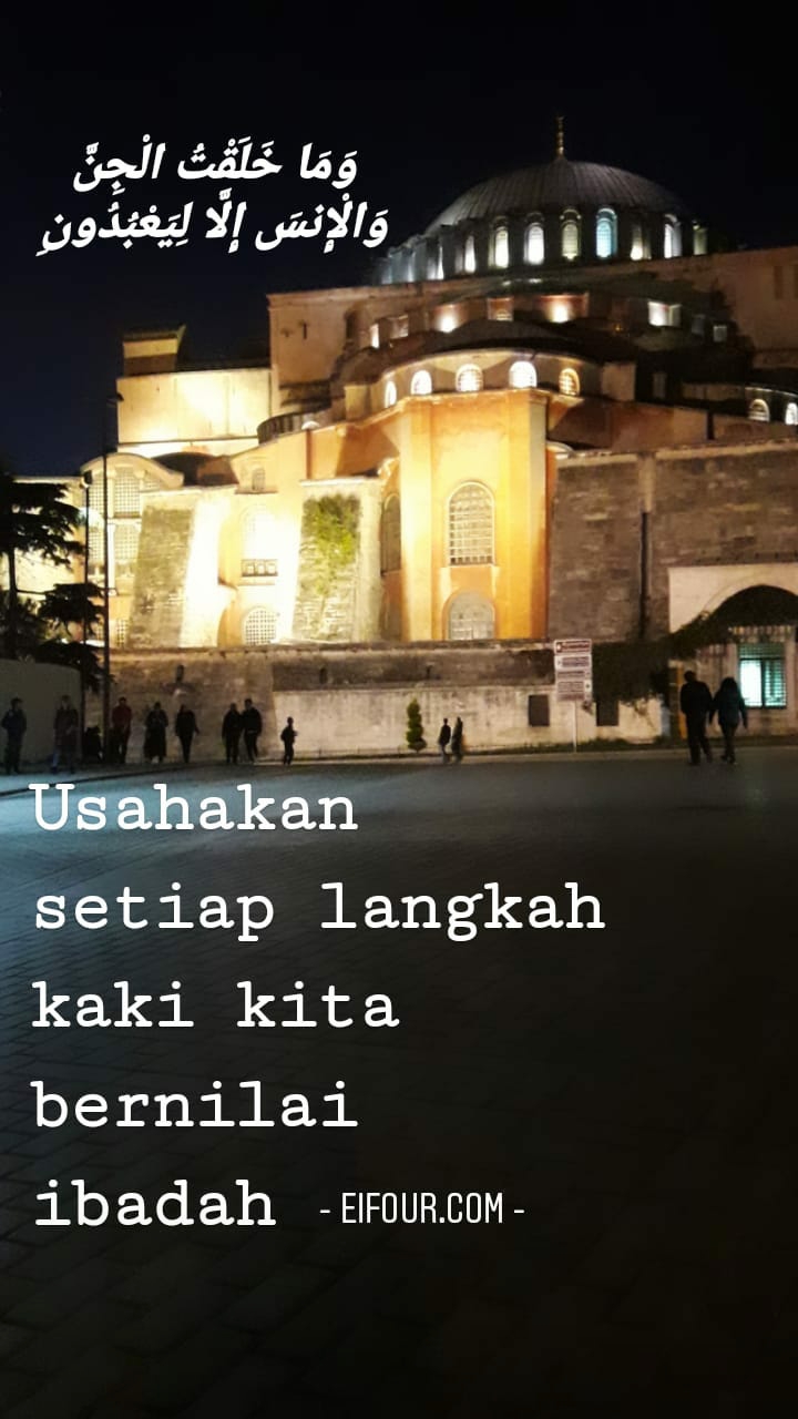 WhatsApp Image 2022-04-09 at 10.45.37 PM (2)